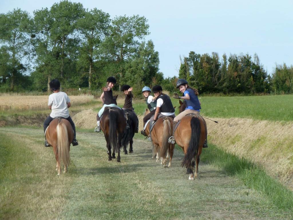 Appartements Les Ormes Epiniac Esterno foto